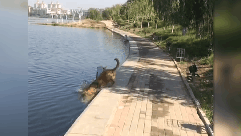 金毛VC6.0入门视频教程(12)-0002[wWw.cYJJj