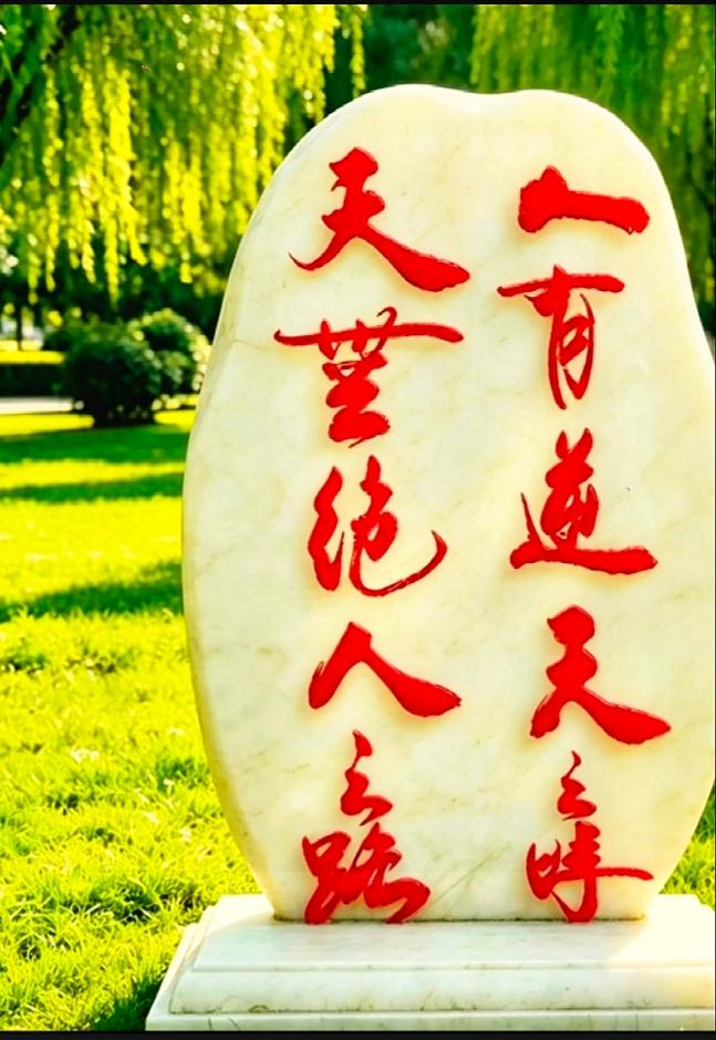 草坪石碑两行行书，大半人读反文字顺序草坪上这块景观石行书飘逸，不少打卡游客盯