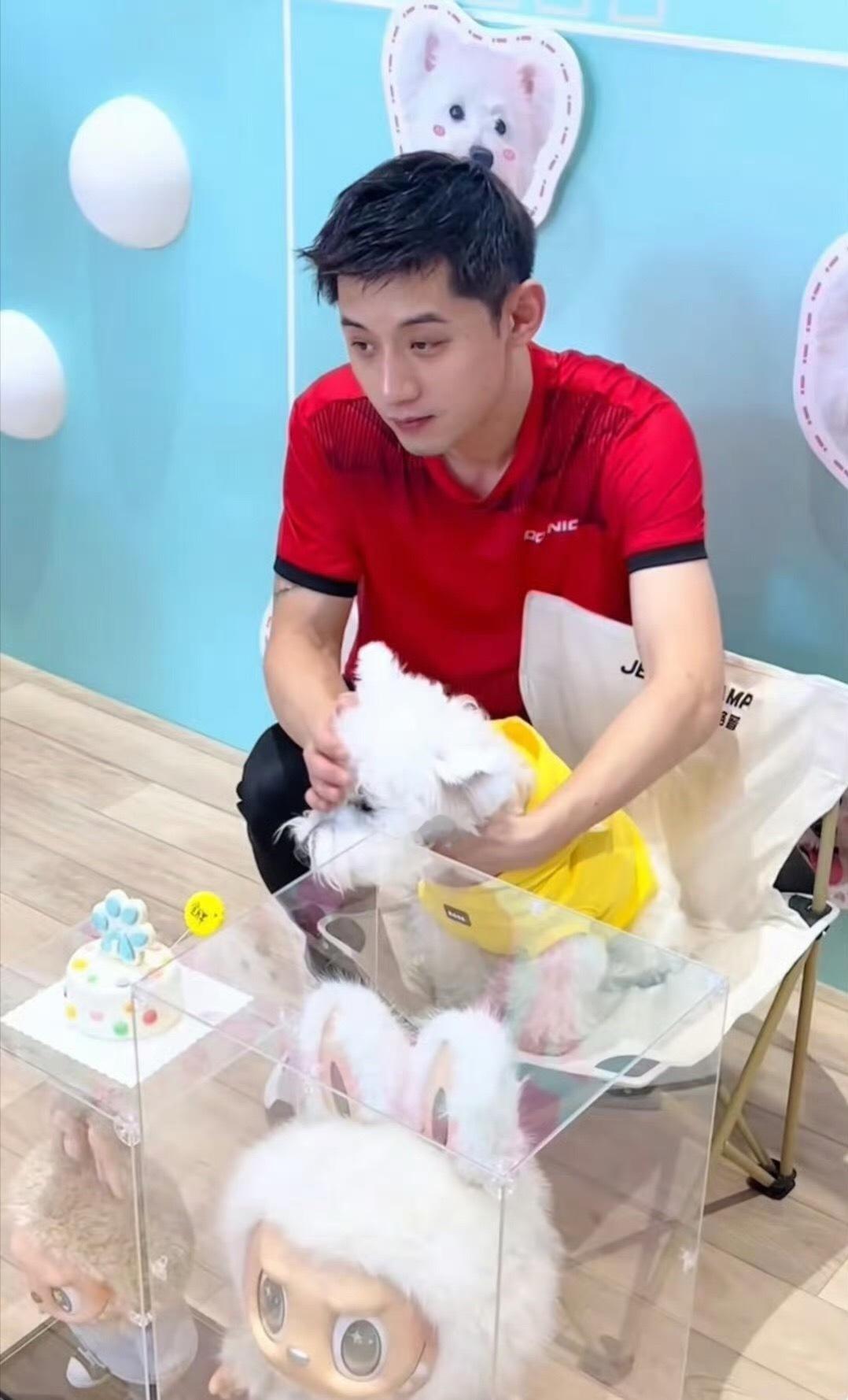 张继科说labubu没价值的原因找到了反正张继科的小狗挺幸福的，有好多好多玩具。