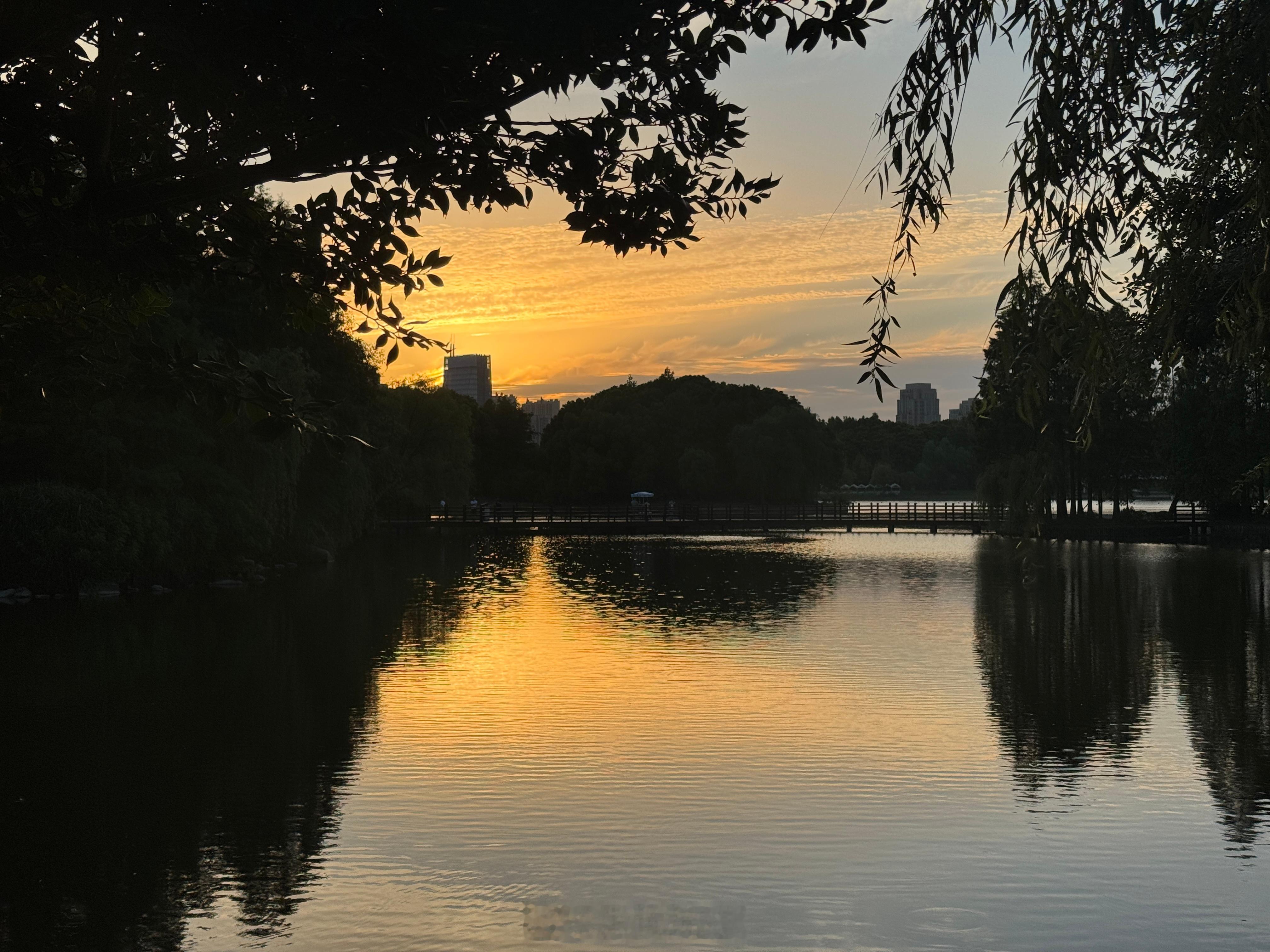 又是放过自己的一天。今天出门跑步，跑了两步就觉得不舒服。那就不跑了，改走路。要是