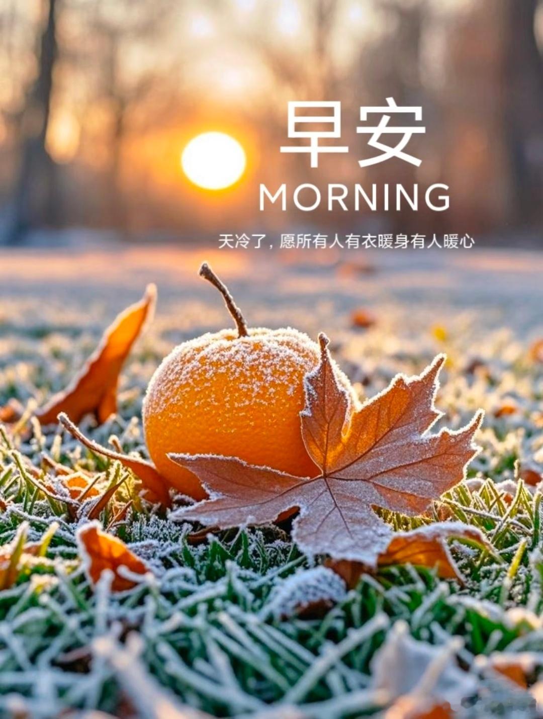 早安！开始降温了你要适应这世界上所有的温度不管季节还是人心如果你没有深情的拥抱就