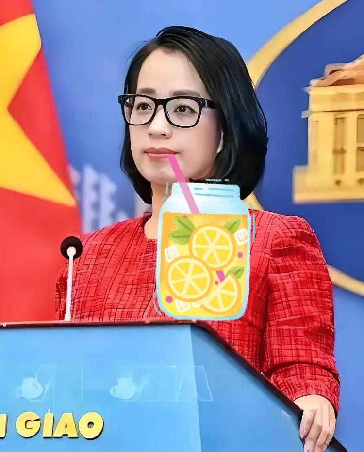 最新消息！越南外交部发言人范秋姮重申：越南拥有充分的历史证据和法律依据，可以依