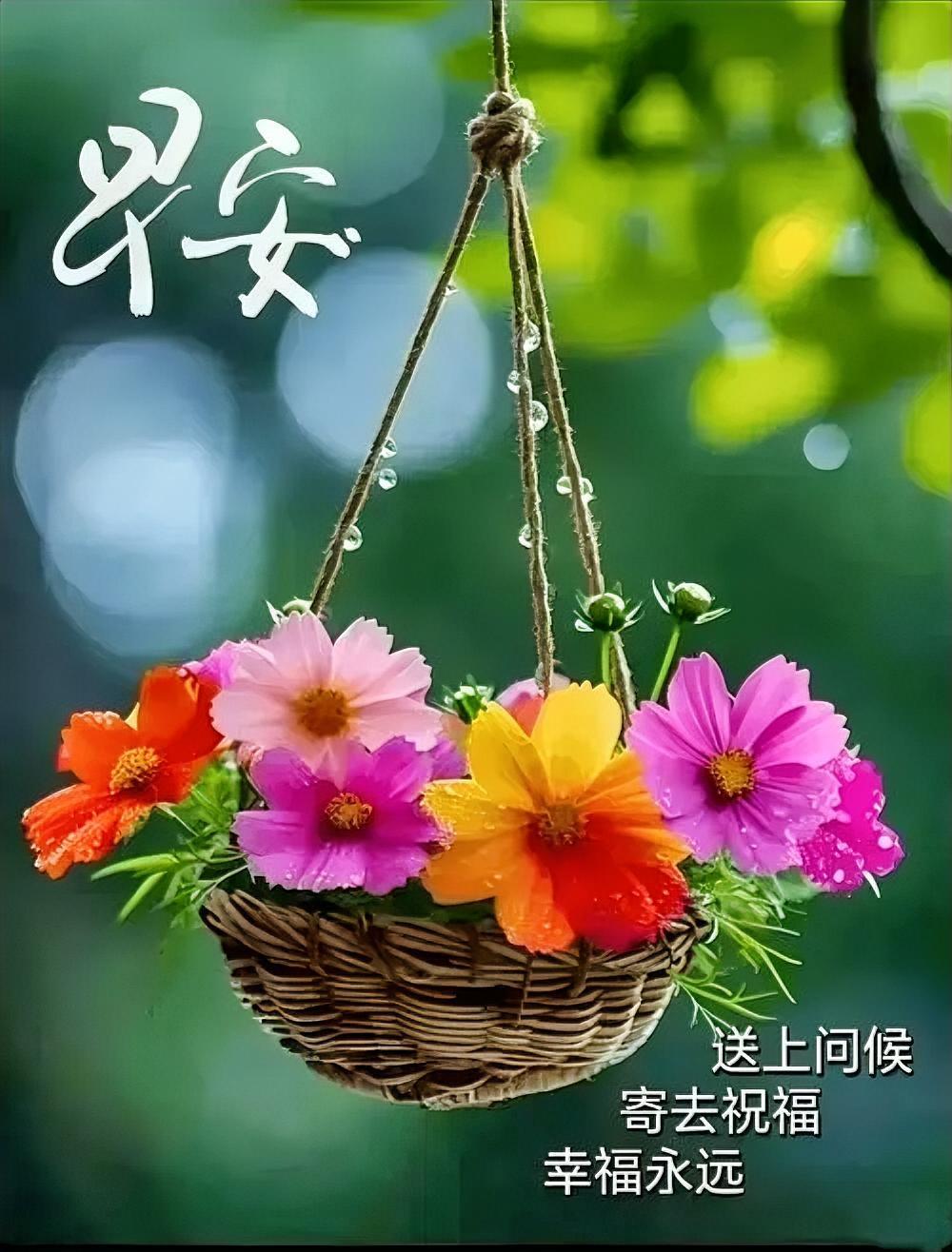 微笑向暖，安之若素；心怀善意，岁月静好。愿时光温柔，你我不负每一份热爱，早安！