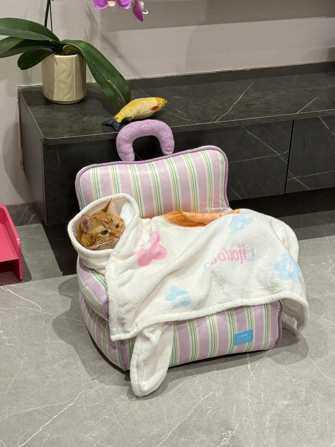 与生俱来的松弛感​​​