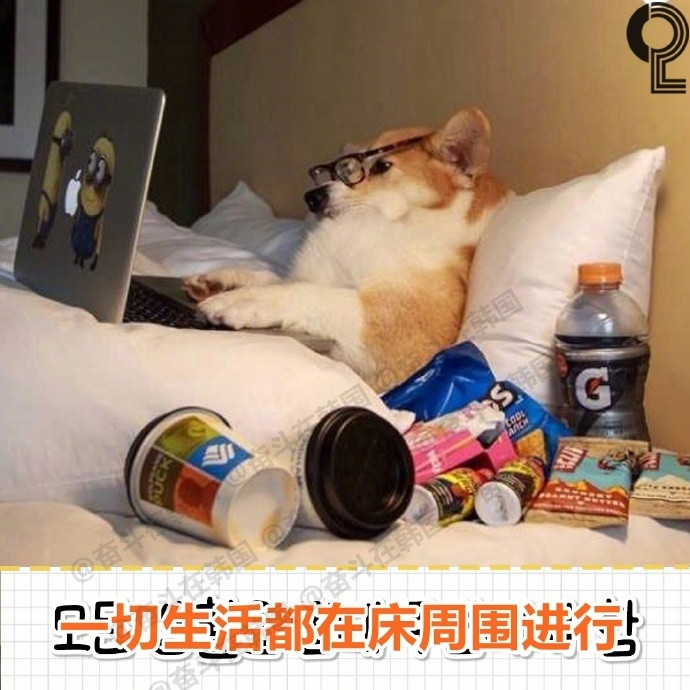 整天躺着的人的特征​​​海外新鲜事热点现场​​​