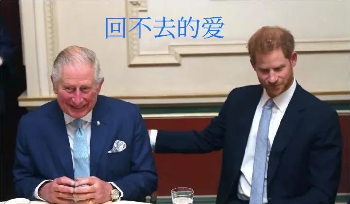 父亲节当天，苏塞克斯公爵夫妇与威廉王子一家人聚一起享受父亲节的快乐时光。而哈里王