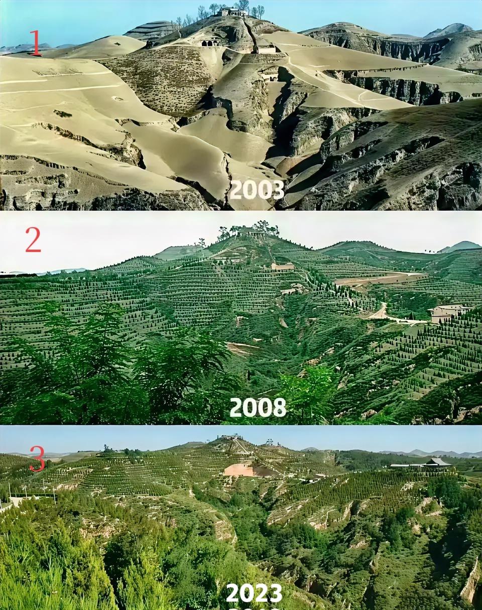 西北山几十年的变化：图1，小时候上学时西北家乡的“黄”山，图2大学回家时山变