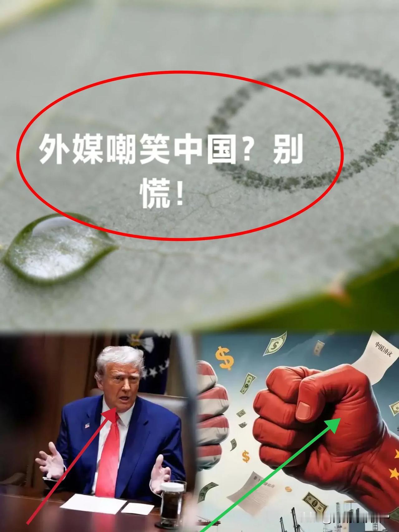 就在刚刚外国宣布如下......！外国嘲笑中国“怂”:面对波兰禁令，