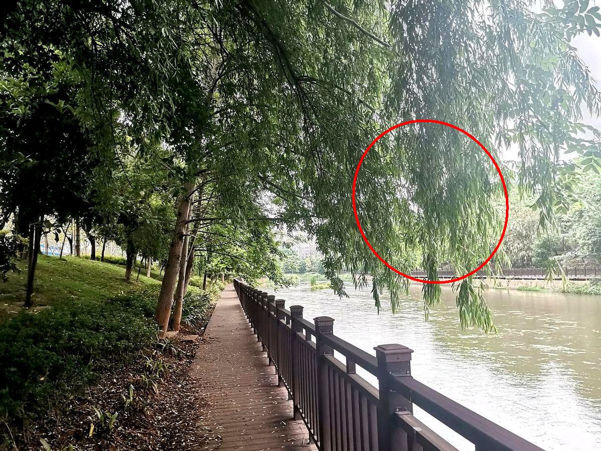 云南禁酒令饱受质疑，主要有两方面原因。最近听朋友说，现在吃烧烤配啤酒都成高危