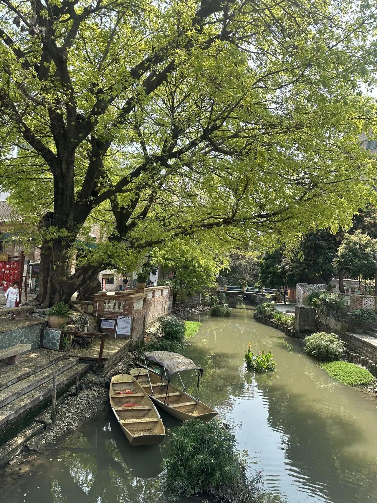 铲屎官最爱去的地方，可以带上毛孩子！佛山藏着一处超惬意的小众水乡夏漖粮园，公交就