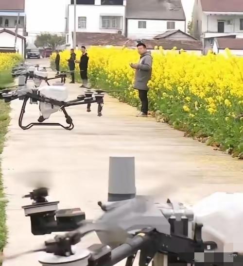 最近刷到油菜花花期大面积打药的视频，真的越看越揪心！祖祖辈辈种油菜，从来没