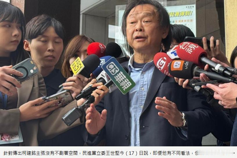 王世坚逆风喊不支持绿营"不副署"立场王：执政者就要万事隐忍、委屈求全民进