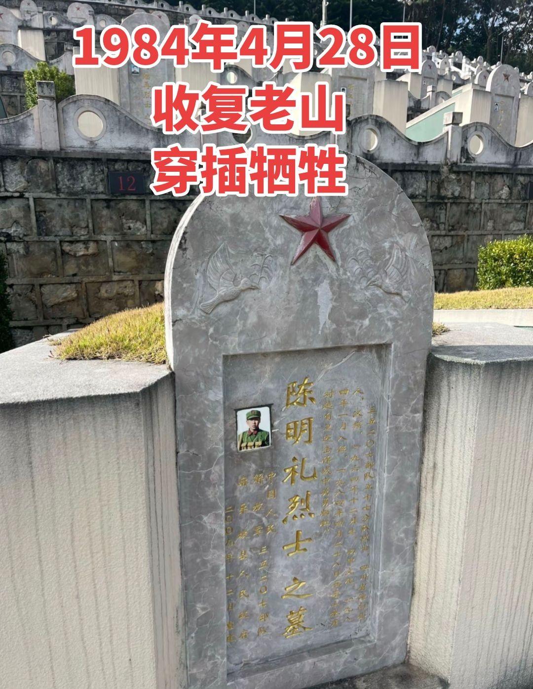 我最近看了一堆对越反击战的资料，心里堵得慌。以前只觉得打仗就是冲锋，现在才知道有