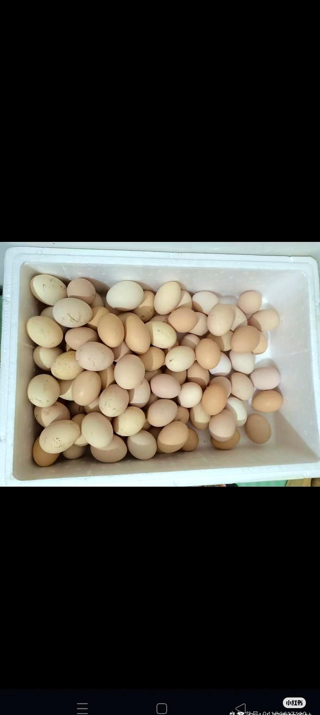 婆婆听说我生了孙子，坐火车来探望。这份心意本来挺让人感动的，可打开箱子那一瞬间
