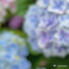 0000绣球花种植方法一、腐殖土壤绣球花在腐殖土壤上生长最佳，需要选取3:3:2