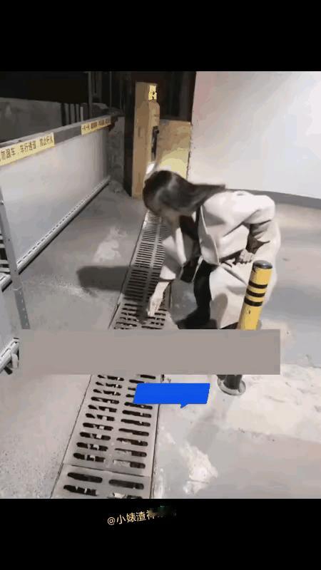 不懂就问，小姐姐是在干什么呢？