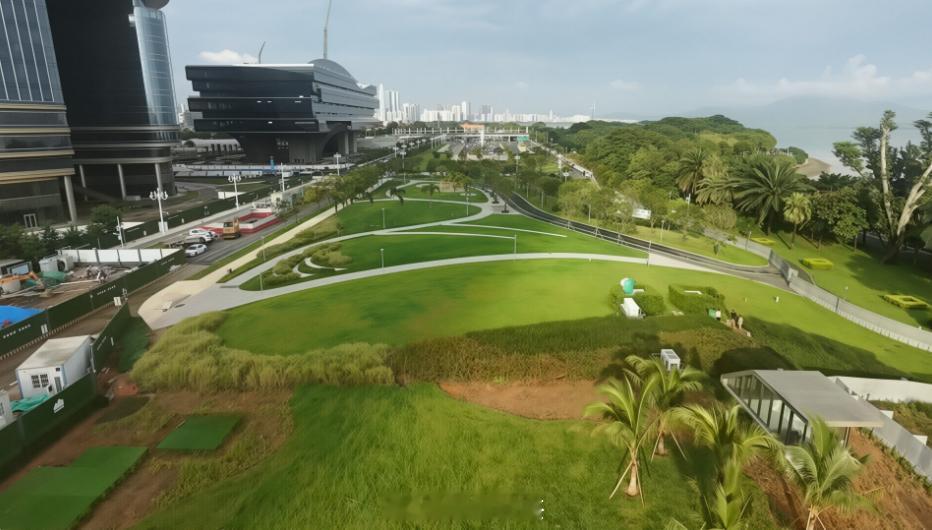 南山滨海大道上盖公园还有6天对外开放。当初滨海大道下沉，地面释放公共活动和景观面
