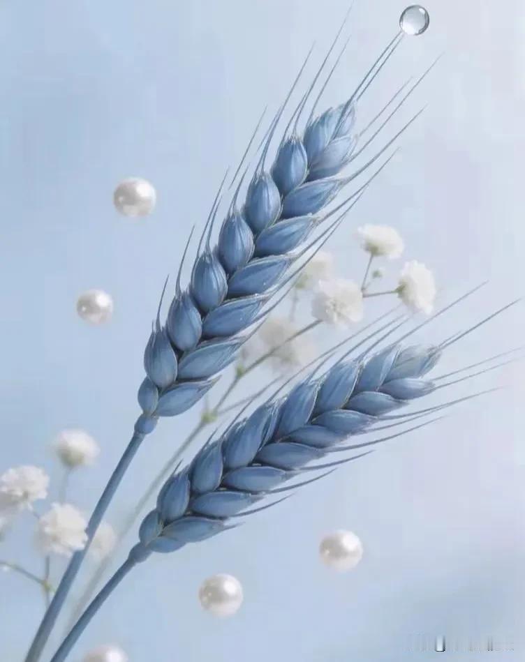 一位肿瘤科icon医生说：“人生五福，不过如此：第一，尿得出来尿。第二，拉