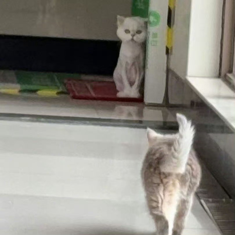 这俩猫养的，怎么比你那条叫黏黏的狗还难以形容，虽然我家猫也丑，但不妨碍我拉踩白鹿