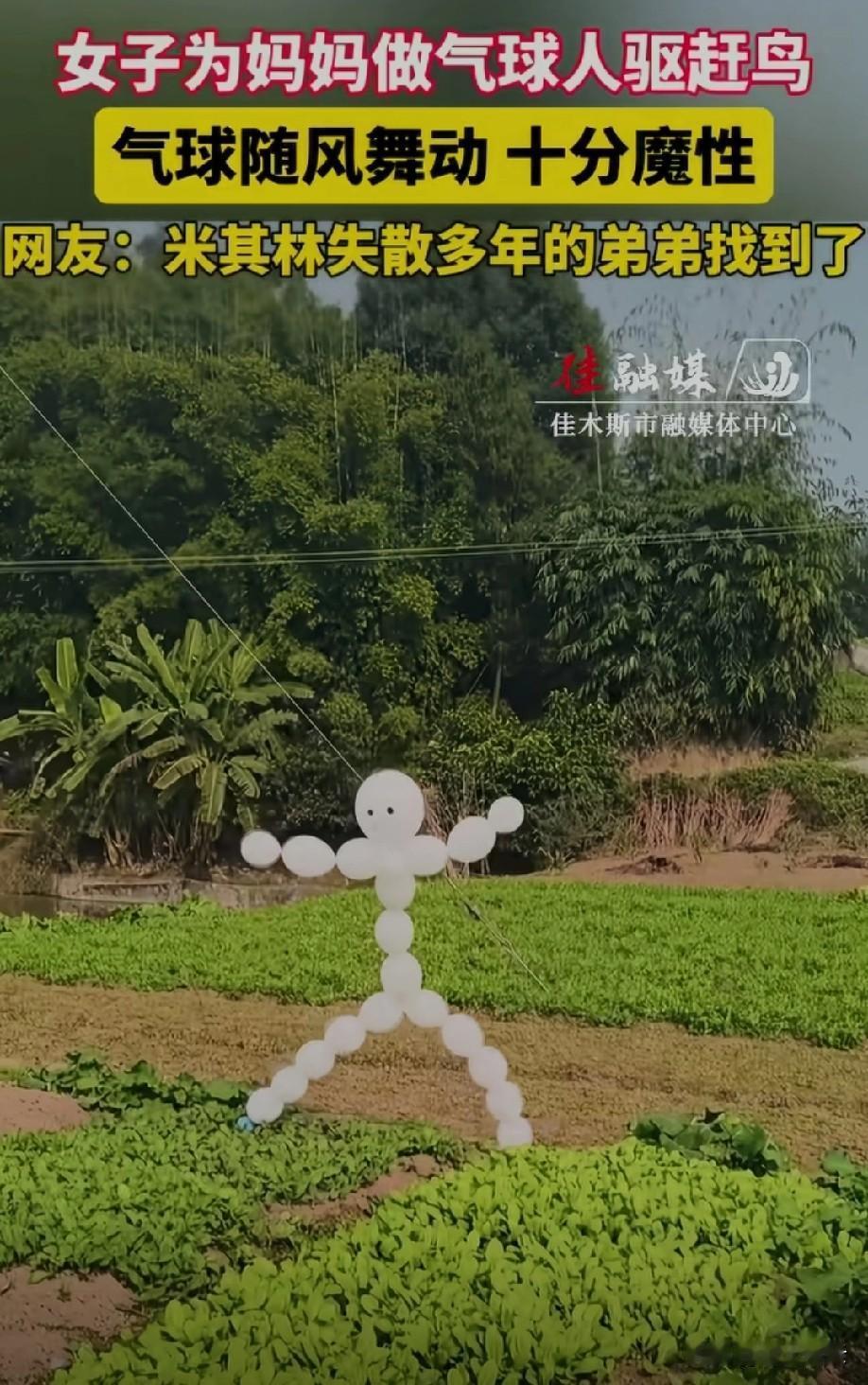 人才啊[赞]感觉确实有些魔性