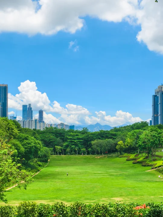 深圳阿勒泰，你愿意在这里坐一下午吗🌥