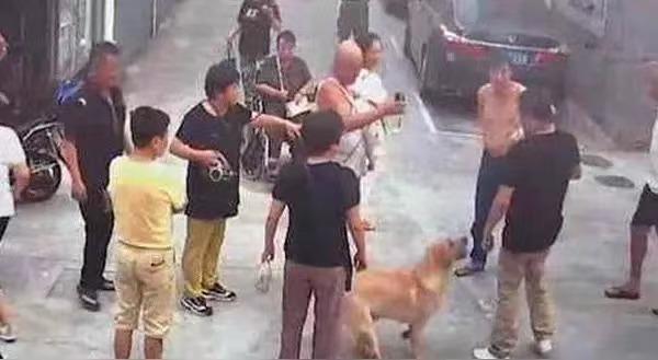 “被狗咬一口，第二天狗却死了，这剧情比恐怖片还刺激！”一位大哥在路上被陌生狗咬伤