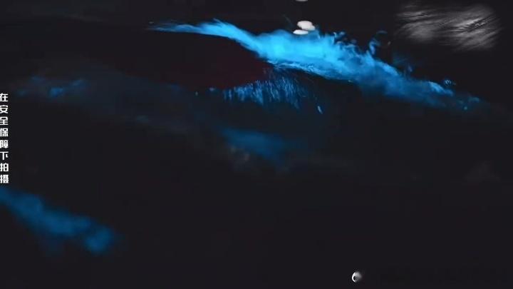 刘宇宁看到蓝眼泪的反应刘宇宁说晚上的海有怪物地球超新鲜刘宇宁追蓝眼泪的时候还挺