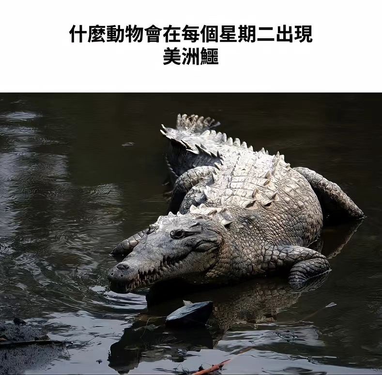 念出来的时候感觉好无力​​​