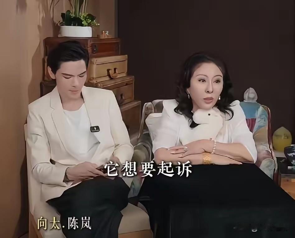 LV。把一家卖奶茶的给告了。理由是——花纹像。向太一听，笑了。她翻出八年