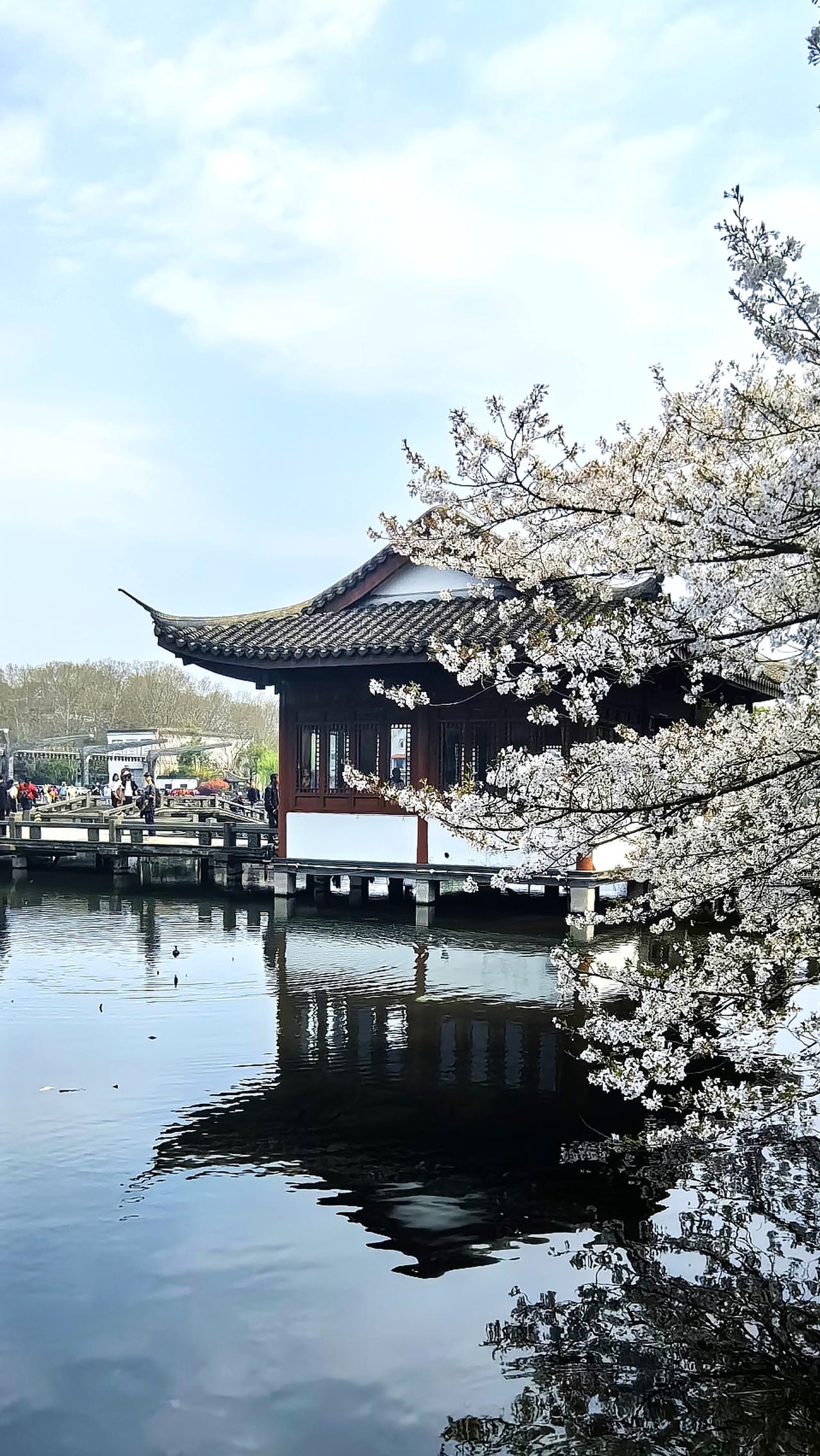 城站是杭州火车站吗？能将“城站”改名为“杭州站”吗？本文将追溯“城站”百年