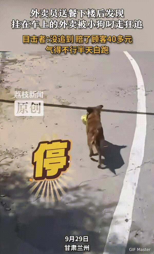 瞒不住了！这下好了，不仅我知道了，全网也都知道了！甘肃兰州，外卖员送餐下楼后
