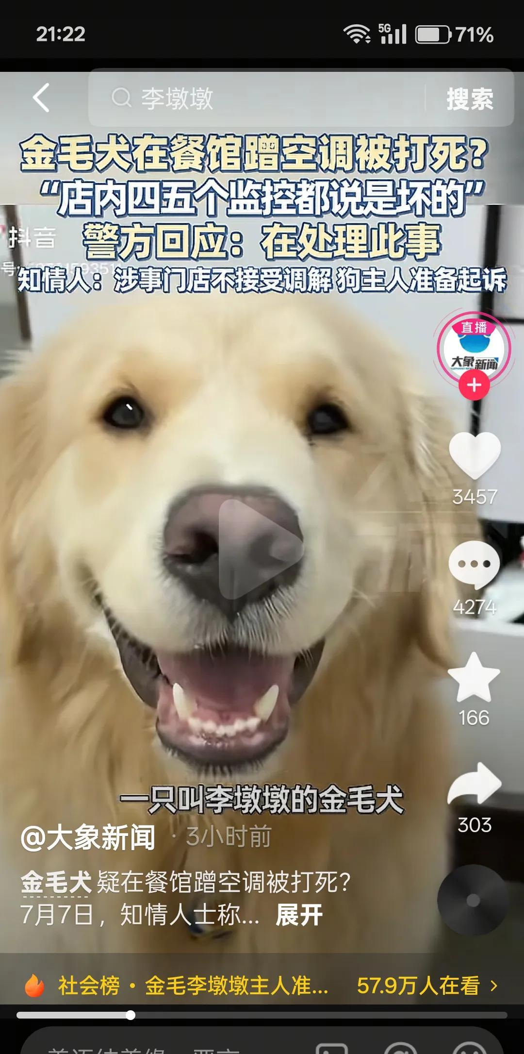 金毛犬“李墩墩”，是被主人害死的！湖南永州的一条大狗，突然闯进餐馆，店家出于顾