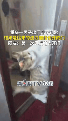 重庆这位大哥怕是这辈子都忘不了——出门忘带钥匙，正对着家门犯愁时，突然想起几