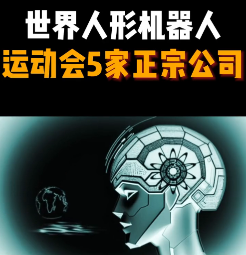 世界人形机器人运动会5家正宗公司。·第一家：优必选。·第二家：京城股份。·