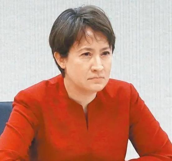 6月24日突然成了两岸博弈的风暴眼。大陆这边新规一公布，萧美琴被正式列入"台独"