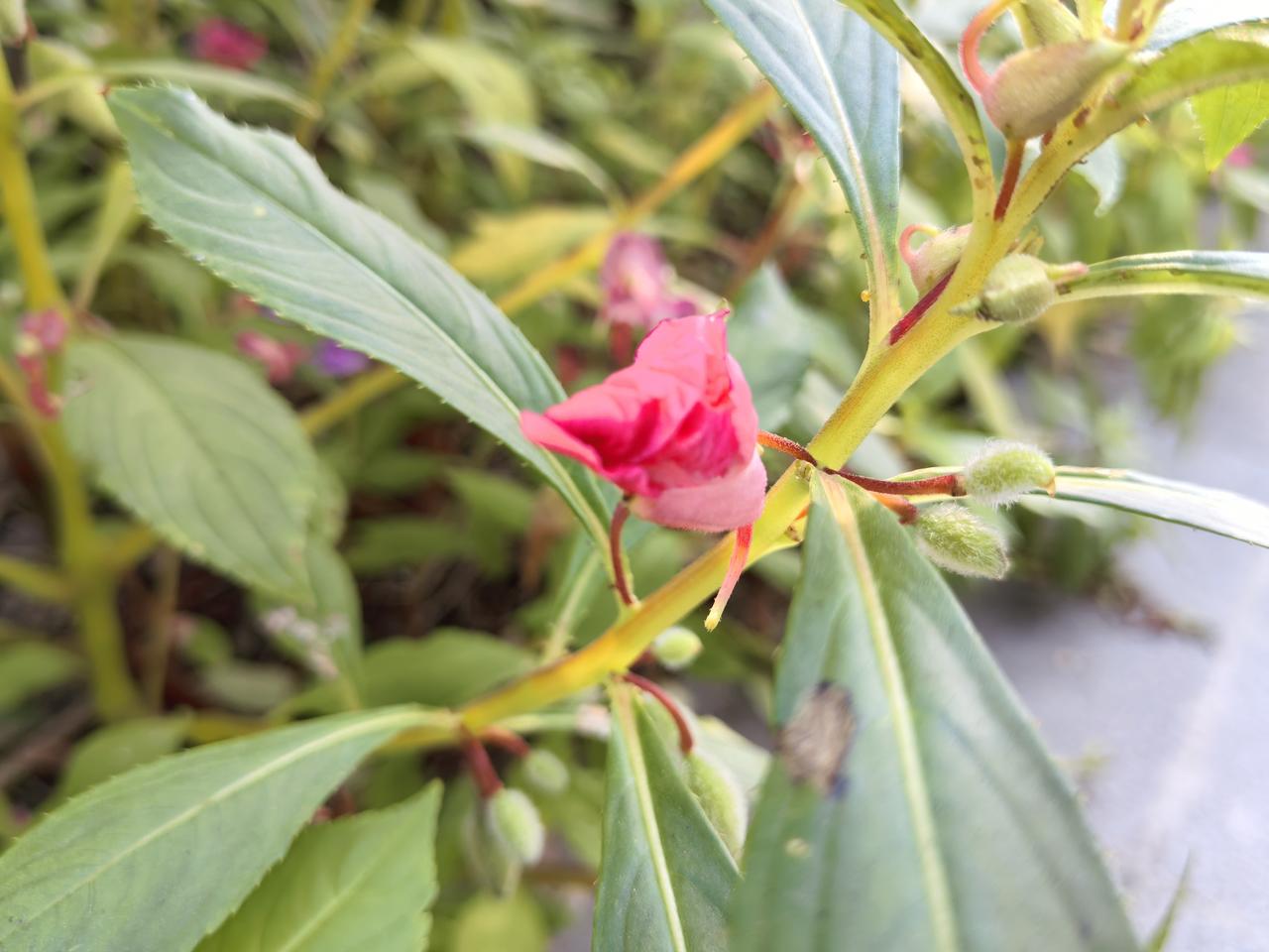 为什么说我老公是真男儿？我和老公是双独，跟他找对象前我就了解了，根据我们当地计划