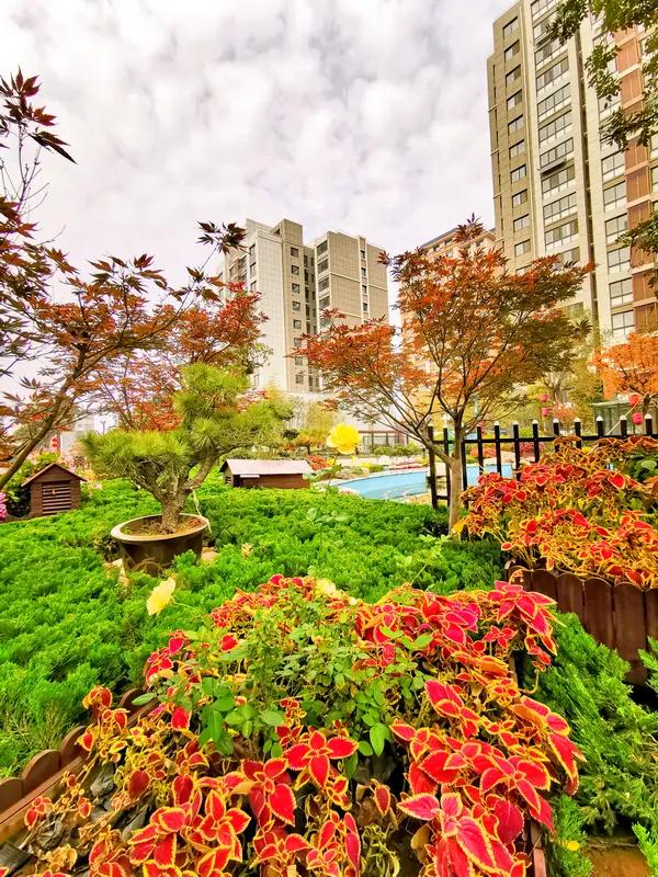 昨天我们小区发生一件可吓人的事，我周日下午没有事带着孩子在小区小花园玩，猛的听见