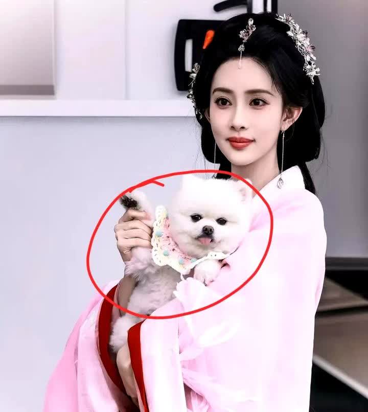 又长见识了！见过演员塌房，见过导演塌房，万万没想到，还能见到演员