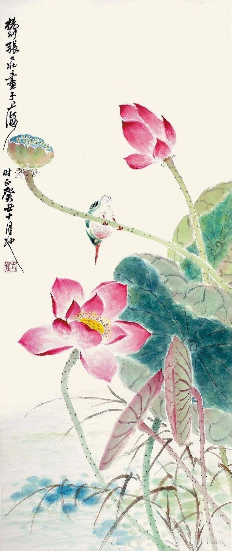 分享一张你拍过的最美的照片