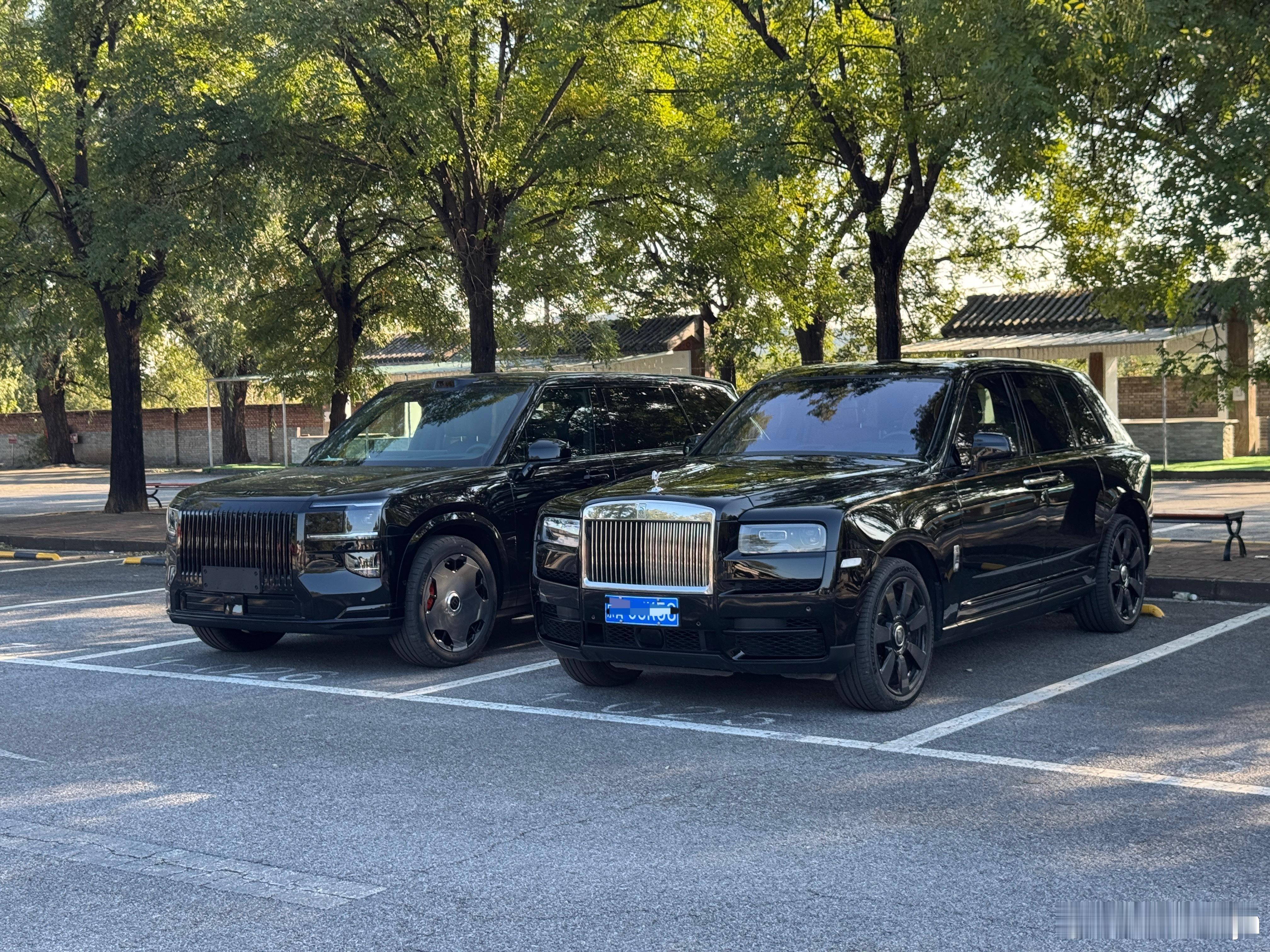 这俩车放一起，英国南子更协调更好看，杭州湾南子更有气势，你们说对吧[滑稽笑][