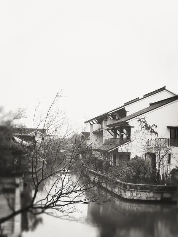 AI妙生图雪落江南梅弄影。