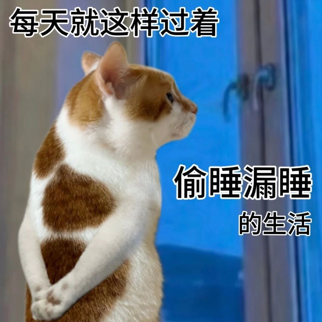 早上好☕️这几天简直就是沾枕头就昏睡的程度，就神奇！
