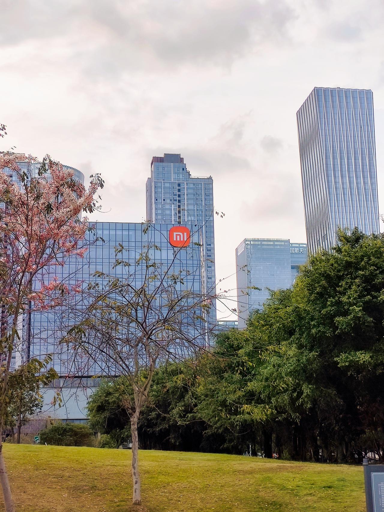 从深圳人才公园看后海总部基地，华润大厦、中国海油、小米集团、字节跳动、阿里巴巴、