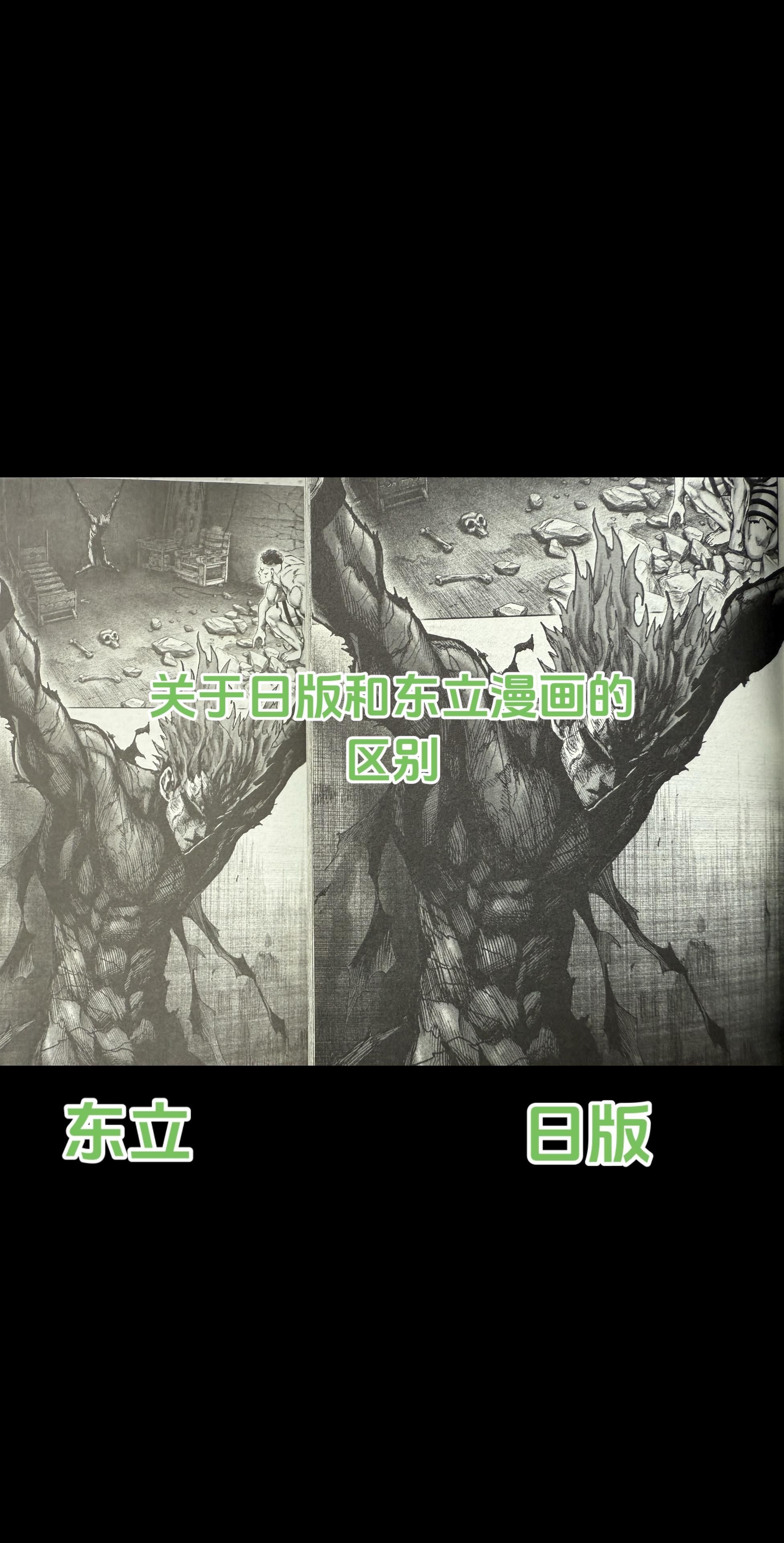 关于一些漫友对日版和东立漫画区别的问题。主要就是印刷和裁边，还有东立很...