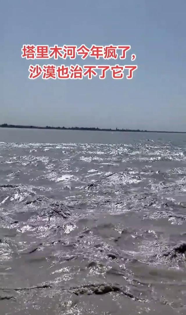 CBA这赛季真是大变天，八一散了，北京不行了，辽宁连季后赛都没进，上海倒是熬了2