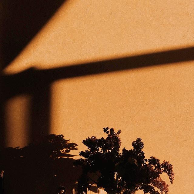 跟任何人打交道，你都要知道的人性铁律。1、初次见面就对你特别热情，跟你称兄道弟