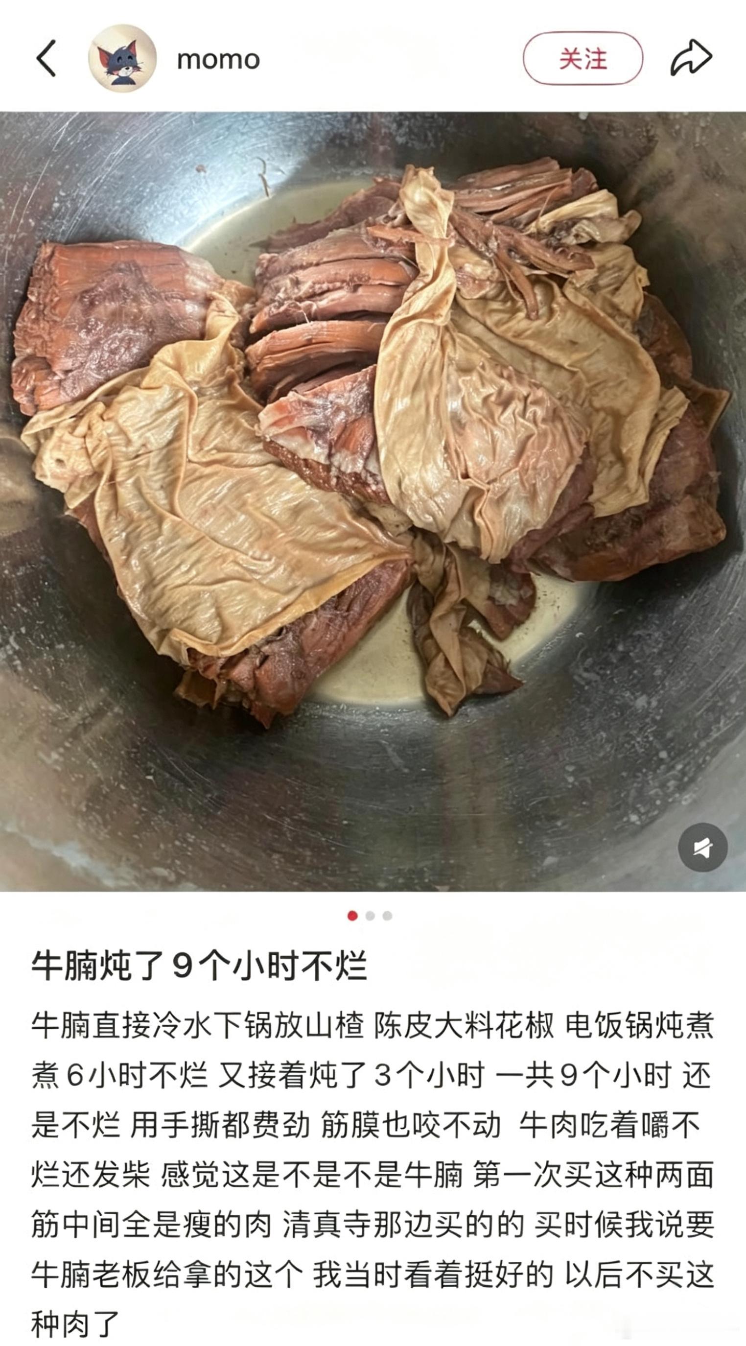 九个小时就是恐龙也炖烂了…