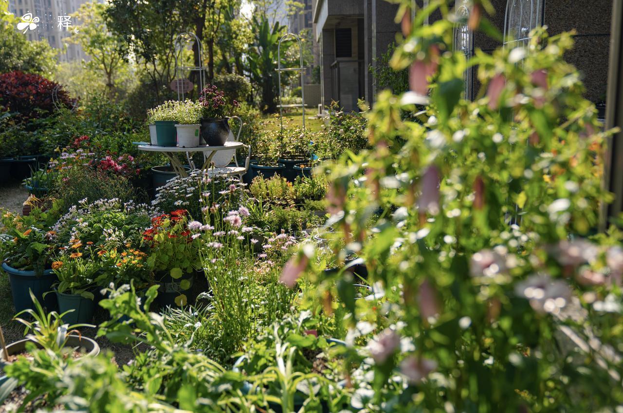 可以在鹤岗养花，但是不能在鬼城生活如今鹤岗化越来越严重，有点刹不住车。坐标福州