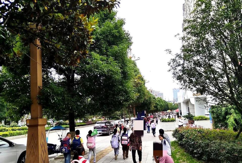 在我的单位，有一个男同事，他是一名公务员，是办公室的主任，然而我老婆得知她同学是