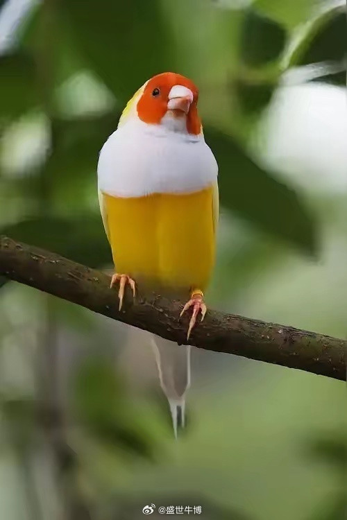 交易需要的优秀品质有很多，如果说最重要的那可能就是---接受。接受周期与变化的必